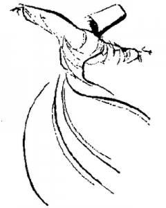 whirling-dervish