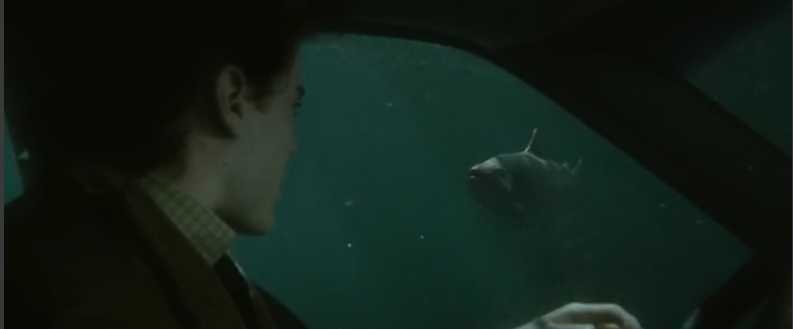 Mr nobody bay hiçkimse, sinema eleştiri analiz film Mr nobody bay hiçkimse, sinema eleştiri analiz film